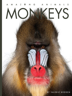 cover image of Monkeys